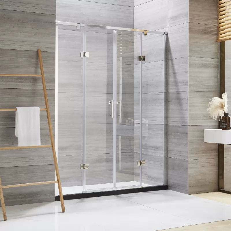 Double Hinged Door Shower Door 